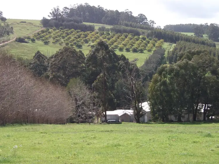 Second view of Homely rural property listing, 356 Angels Road, Manjimup WA 6258