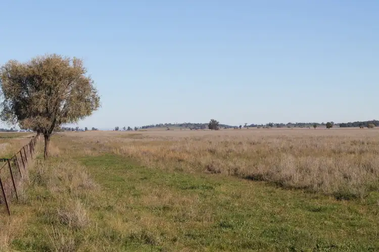 Second view of Homely rural property listing, - Tallabung, Forbes NSW 2871