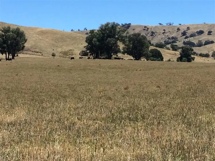 Third view of Homely rural property listing, lot 8222 Yaven Creek Road, Adelong NSW 2729