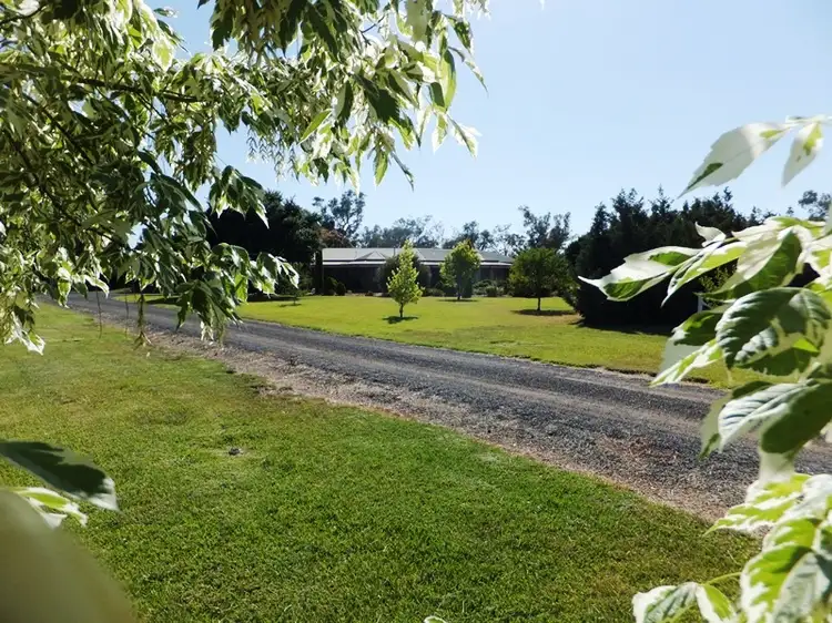 Fourth view of Homely rural property listing, 149 New Grenfell Rd, Forbes NSW 2871