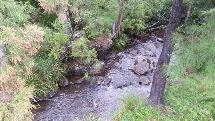 Second view of Homely rural property listing, 1715 Kangaroo Flat Road, Yarrowitch NSW 2354