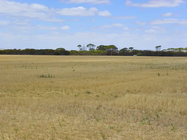 Fourth view of Homely rural property listing, Lot 1761 Needilup Road, Pingrup WA 6343