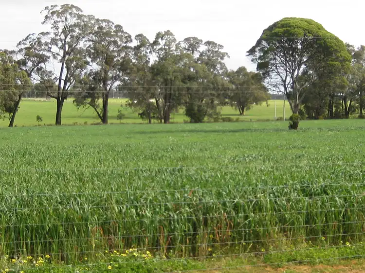 Fourth view of Homely rural property listing, 274 Wilson Road, Mount Barker WA 6324