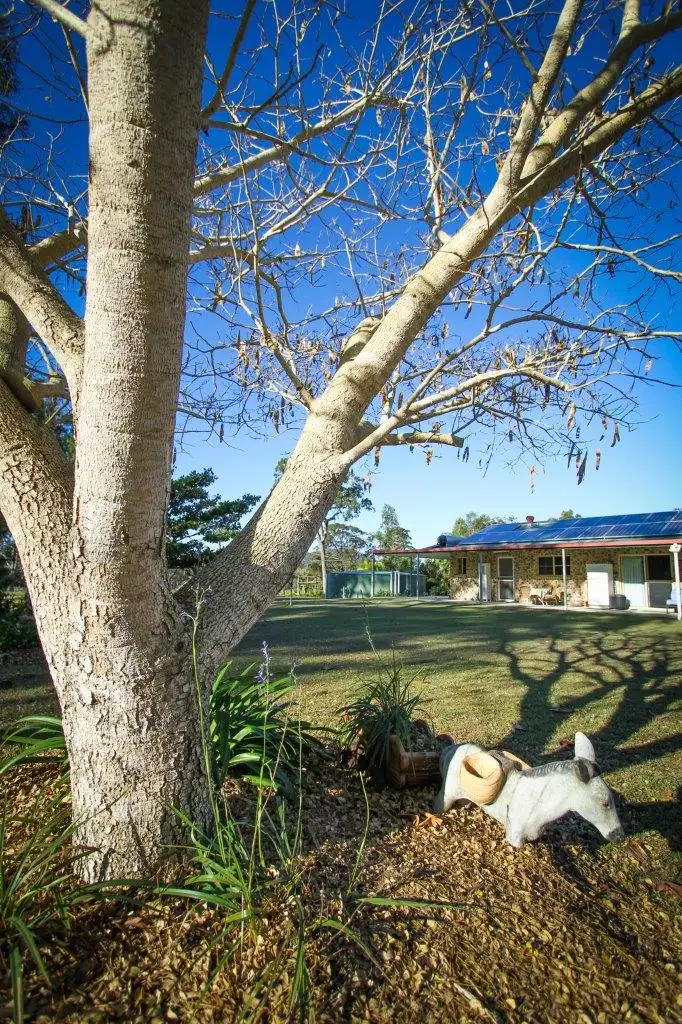 Third view of Homely house listing, 2301 Round HIll Road, Round Hill QLD 4677