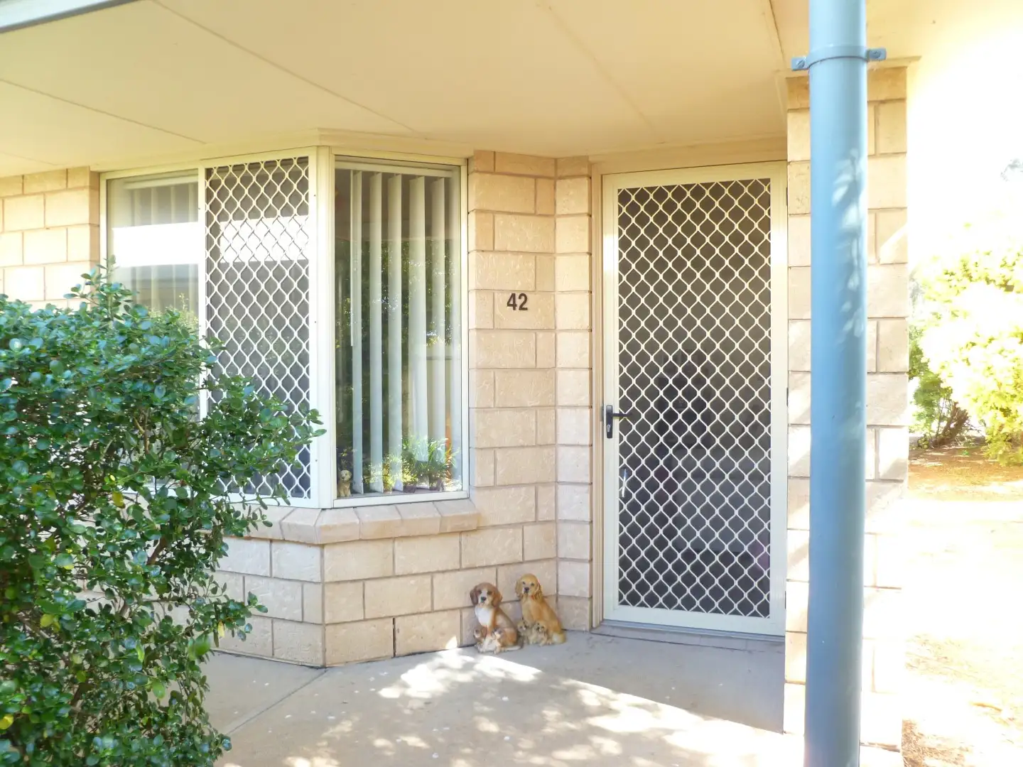 Main view of Homely unit listing, Unit 42 11-15 Hollywood Boulevard, Salisbury Downs SA 5108