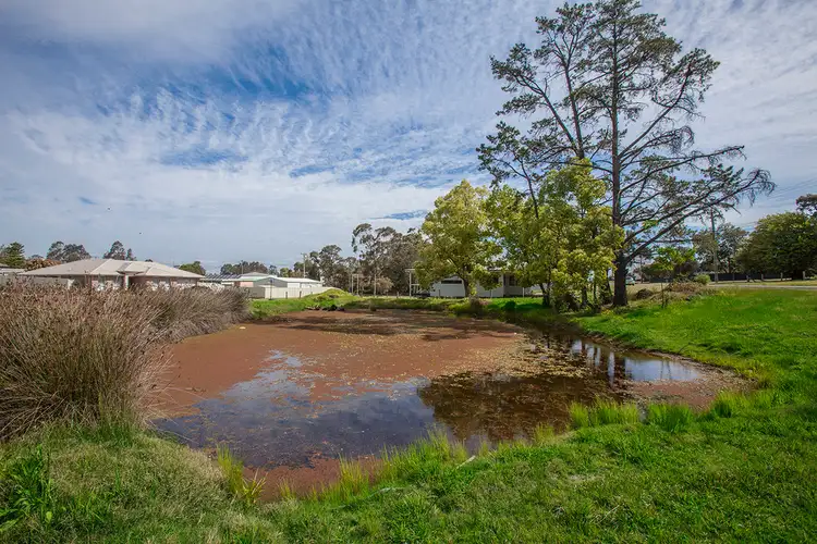 Fifth view of Homely house listing, 61 Hunter Street, Greta NSW 2334