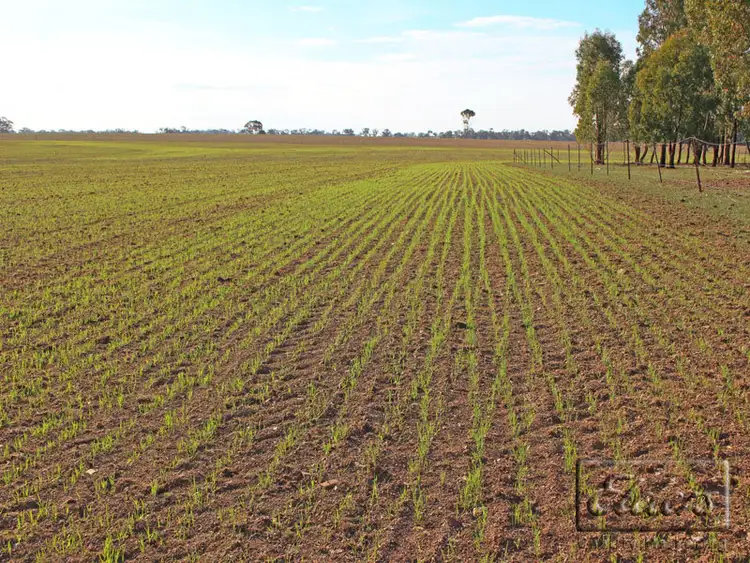 Seventh view of Homely rural property listing, Corner Collins Road and Goornong-Mayreef Road, Goornong VIC 3557