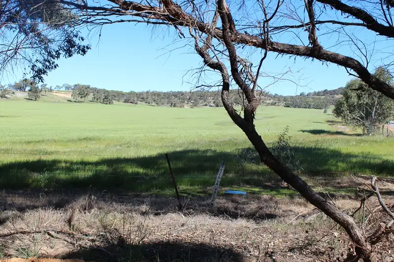 Main view of Homely rural property listing, Lot 116 Spencers Brook Road, Mokine via Northam, Northam WA 6401