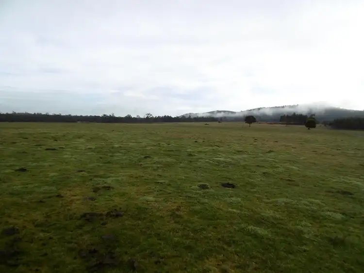 Fifth view of Homely rural property listing, 519 Felmingham Road, Parkham TAS 7304