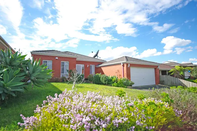 31 Maryrose Crescent, Endeavour Hills VIC 3802