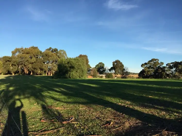 Lot 2 Wilkins Road, Naracoorte SA 5271