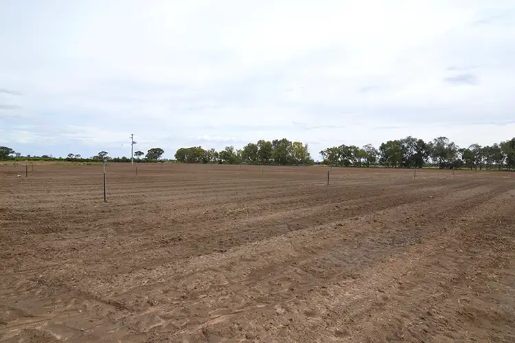 Second view of Homely rural property listing, 690 Pomona Road, Pomona NSW 2648