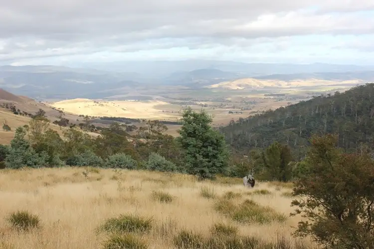 79 Sonners Road, Black Hills TAS 7140
