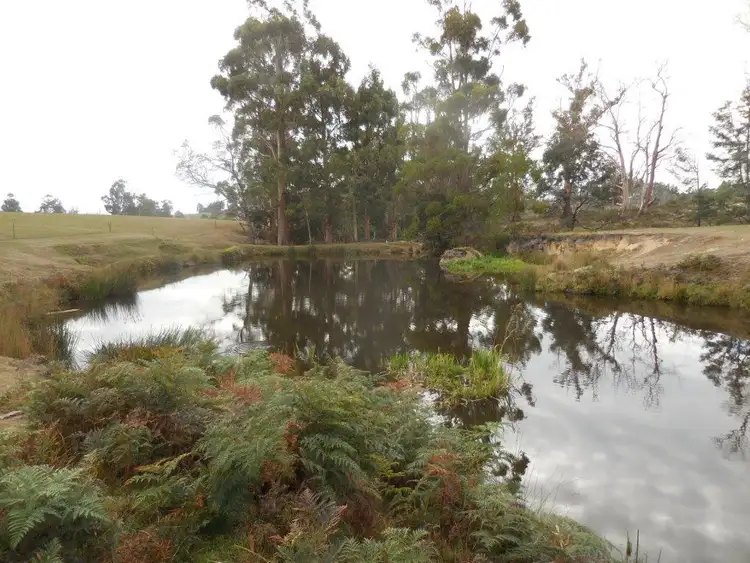Second view of Homely rural property listing, 349 TEN MILE TRACK, Springfield TAS 7260