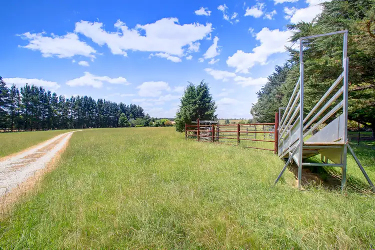 Sixth view of Homely rural property listing, 480 Golden Vale Rd, Sutton Forest NSW 2577