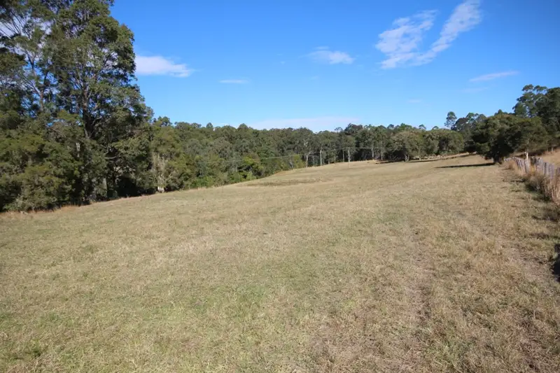 Main view of Homely rural property listing, Lot 1 Nowendoc Road, Killawarra NSW 2429