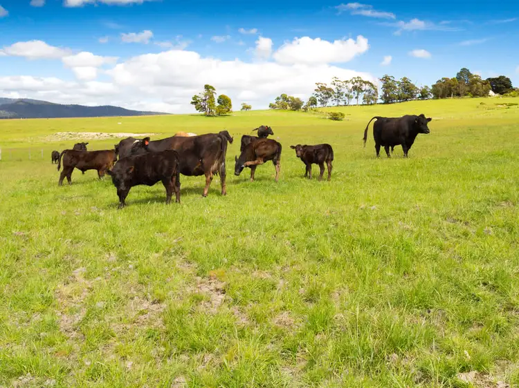 Fifth view of Homely land listing, Lot 1, 42 Clarence Point Rd, Clarence Point TAS 7270