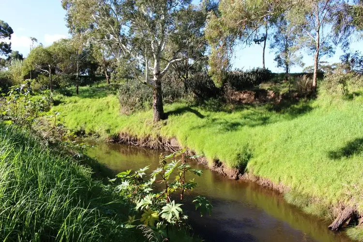 Seventh view of Homely rural property listing, 224 Burnlea Road, Langhorne Creek SA 5255