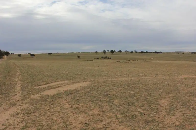 Main view of Homely rural property listing, Lot 15597 Dunlop Road, Merredin WA 6415