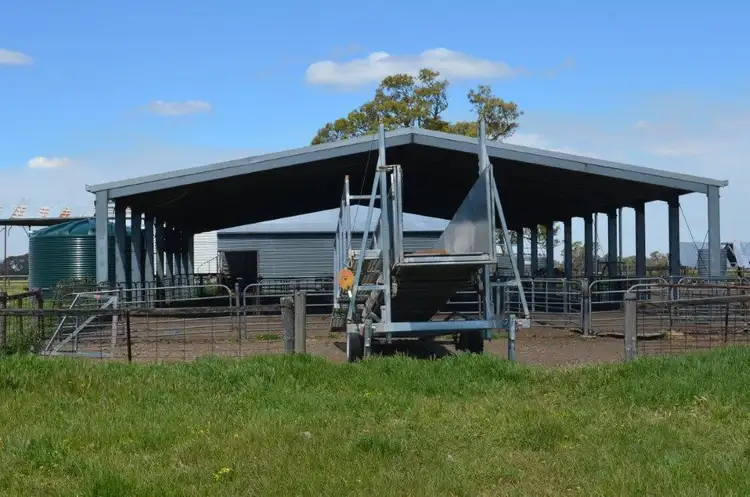 Seventh view of Homely rural property listing, 405 KOIJAK ROAD, Apsley VIC 3319