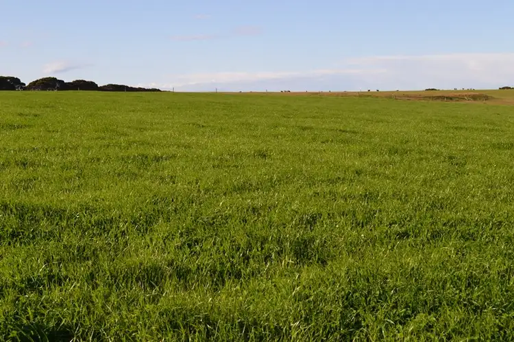 Second view of Homely rural property listing, Lot 112 Moffatt Rd, Penneshaw SA 5222