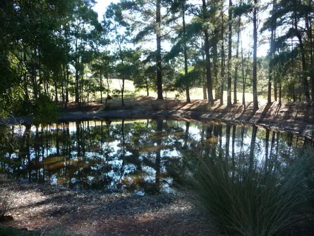 Third view of Homely house listing, 99 Ross Creek - Haddon Road, Ross Creek VIC 3351