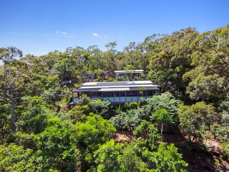 Second view of Homely house listing, 236 96R White Beech Road, Daintree QLD 4873