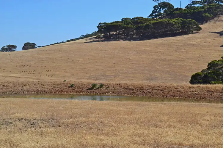 Fourth view of Homely rural property listing, Sec 104 BOXER RD, Wisanger SA 5223