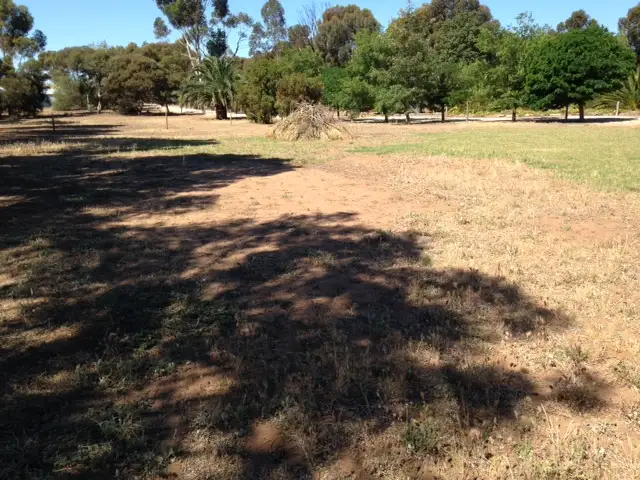 Lot 81 River Breeze Estate, Murray Bridge SA 5253