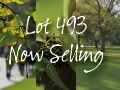 Lot 493 Everest Way, Baldivis WA 6171