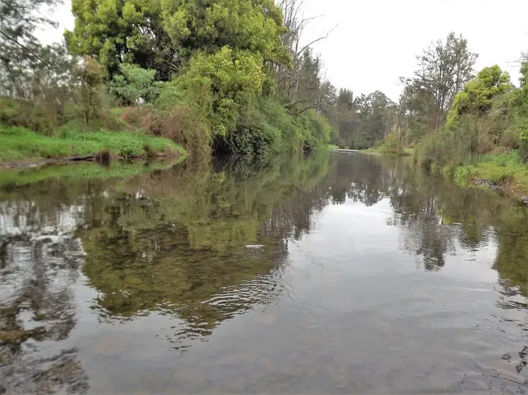 Second view of Homely rural property listing, 252 Bucketts Road, Gloucester NSW 2422
