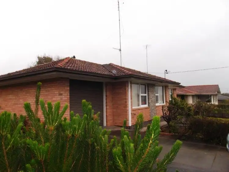 Main view of Homely house listing, 13 O'Connor Street, Manjimup WA 6258
