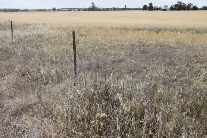 Seventh view of Homely rural property listing, - 'Kolkibertoo', West Wyalong NSW 2671