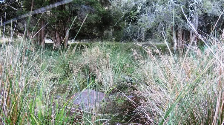 Fourth view of Homely rural property listing, Pt Myrtlevale Upper Rouchel Rd, Aberdeen NSW 2336