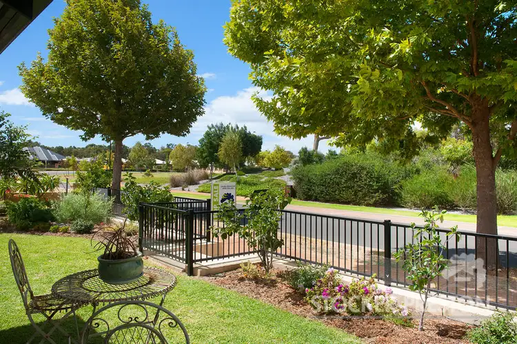 Main view of Homely house listing, 49 Elijah Circle, Vasse WA 6280