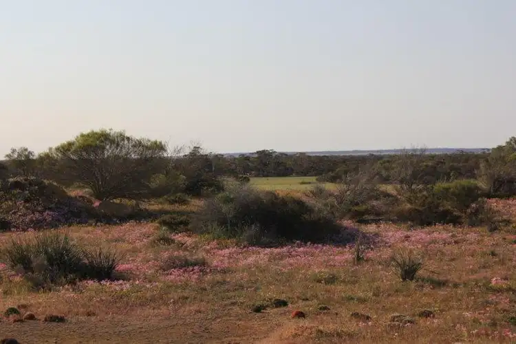 Second view of Homely rural property listing, Lot 14030 Chandler-Merredin Road, Goomarin WA 6415