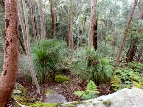 Fourth view of Homely rural property listing, Lot 7, 10 Oak Road, Ourimbah NSW 2258