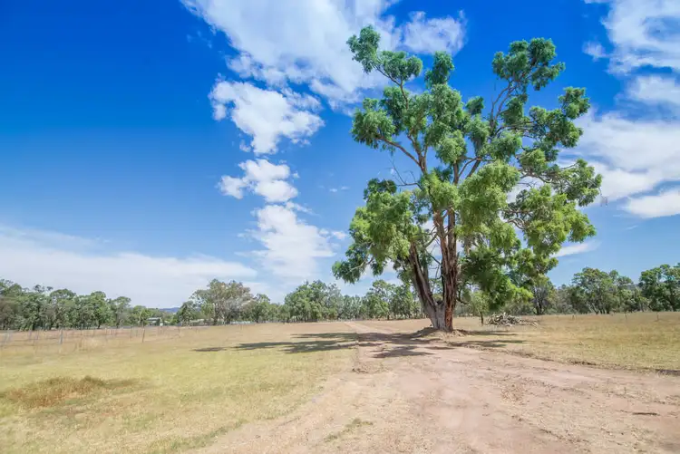 Seventh view of Homely rural property listing, 540 Ulan Road, Mudgee NSW 2850