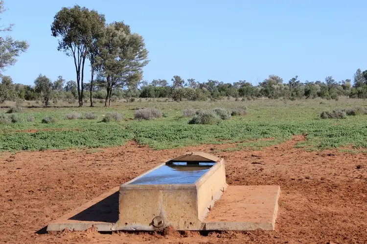 Third view of Homely rural property listing, 4550 Dirranbandi - Bollon Rd, Dirranbandi QLD 4486