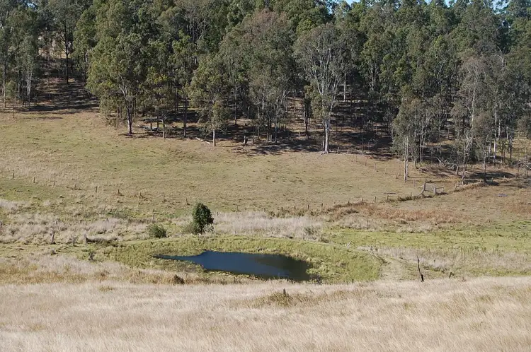 Third view of Homely rural property listing, 1130 Dyraaba Road, Dyraaba NSW 2470