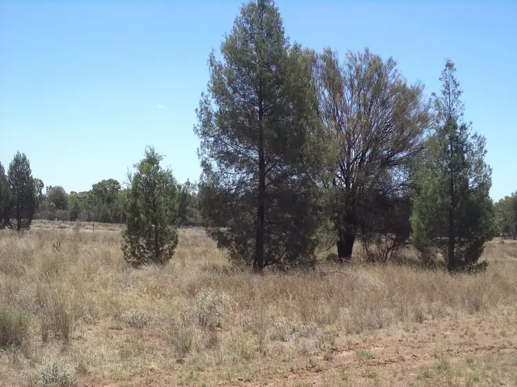 Third view of Homely rural property listing, 513 Old Cameby Road, Miles QLD 4415