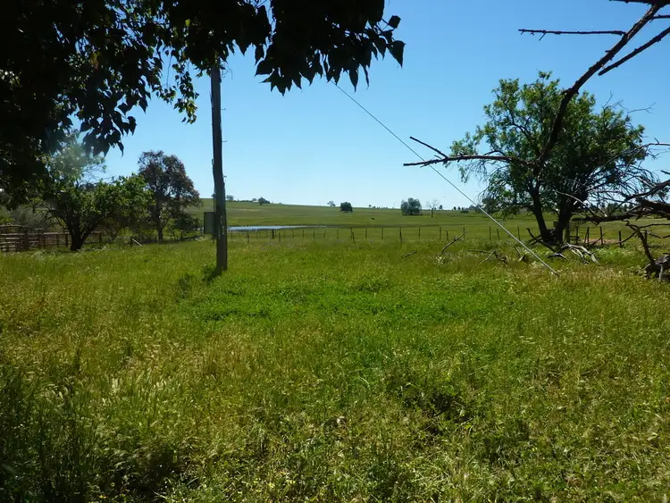 Sixth view of Homely rural property listing, 113 Coolamon Road, Wagga Wagga NSW 2650