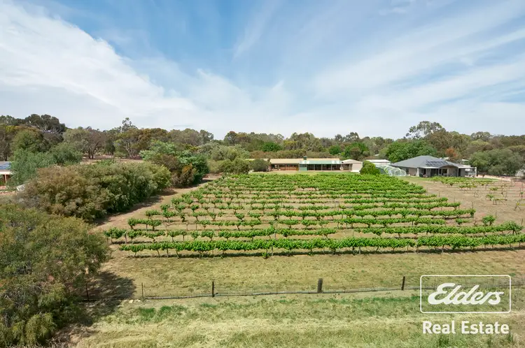 Fourth view of Homely house listing, 19 Denholm Court, Lyndoch SA 5351