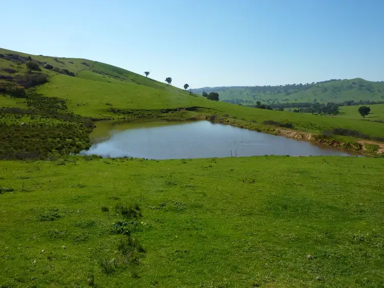 Fourth view of Homely rural property listing, 642 Westbrook Road, Tarcutta via, Wagga Wagga NSW 2650