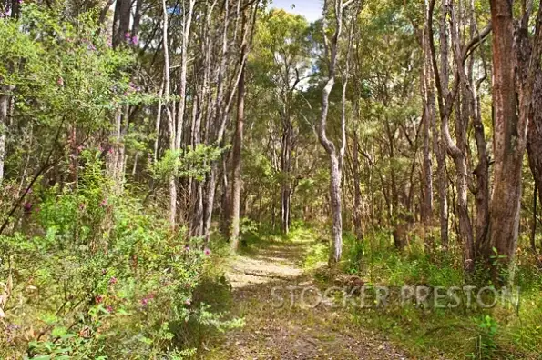 Seventh view of Homely land listing, 202 Brockman Hwy, Karridale WA 6288