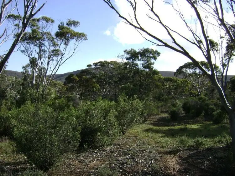 Fifth view of Homely land listing, Allotment 12 Railway Dam Road, Darke Peak SA 5642