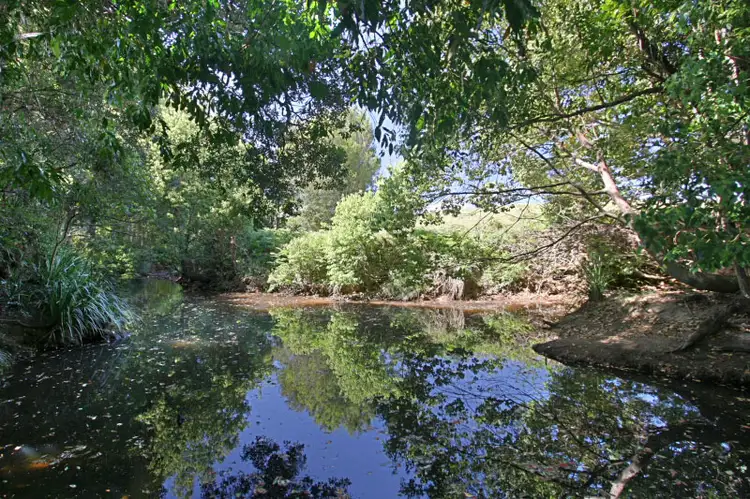 Fifth view of Homely rural property listing, 297 Left Bank Road, Mullumbimby NSW 2482