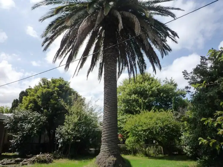 Third view of Homely house listing, 8 Evelyn Street, Yarram VIC 3971