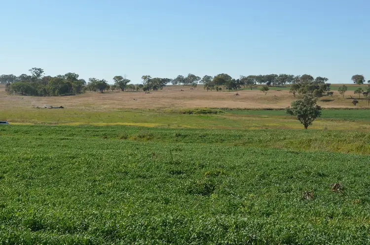 Third view of Homely rural property listing, 766 Umbiram Road, Umbiram QLD 4352