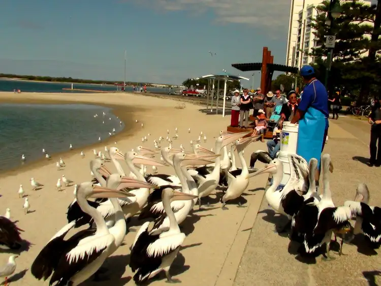 Seventh view of Homely house listing, 125 Muir Street, Labrador QLD 4215